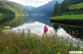 Kvingedalsvatnet