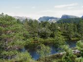 Tjern p Husefjell